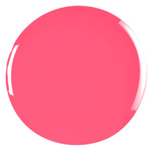 Load image into Gallery viewer, Coral Crush | Bright Pink Coral
