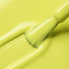 Load image into Gallery viewer, Spring Duo Set | Coral Crush &amp; Neon Zest
