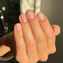 Load image into Gallery viewer, Transparent Beauty | Sheer Pink
