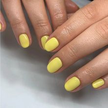 Load image into Gallery viewer, Tropical Sunray | Pastel Lemon Yellow
